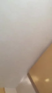 心里五味杂陈
